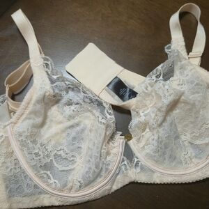 Elegant Lace Underwire Bra in Champagne 34C